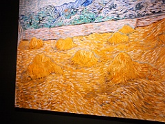 VanGogh (120)